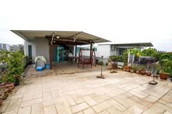 Celadon View (D17), Apartment #459613161